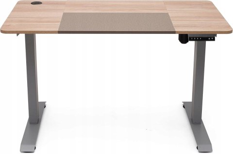 BIURKO ELEKTRYCZNE GAMINGOWE KOMPUTEROWE Z REGULACJĄ 120X60 CM DĄB BRUNICO