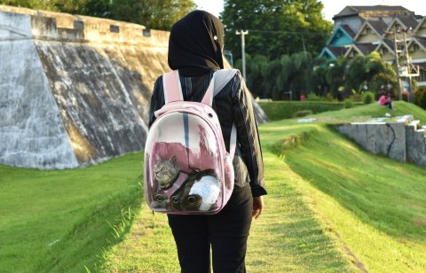 Plecak transporter dla kota psa transporter torba podróżna PETSI