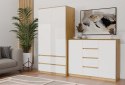 Komoda Malwa 2D4S 120 DĄB ARTISAN BIEL