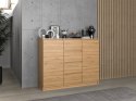 Komoda Malwa 2D4S 120 DĄB ARTISAN