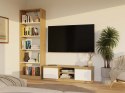 RTV Malwa 120 DĄB ARTISAN BIEL