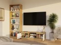 RTV Malwa 120 DĄB ARTISAN BIEL