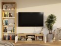 RTV Malwa 120 DĄB ARTISAN BIEL