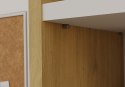 Regał Onyx R40 DĄB ARTISAN BIEL