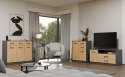 Szafka RTV SIMPLO 1D2S Stolik TV 2 Szuflady 1 Drzwi ANTRACYT DĄB ARTISAN