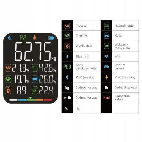 Waga łazienkowa analityczna 15 parametrów Apple Health Google Fit SCALA WEBBER WEBBER