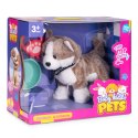 Interaktywny piesek na smyczy husky chodzi i merda ogonem melodyjki MULTISTORE